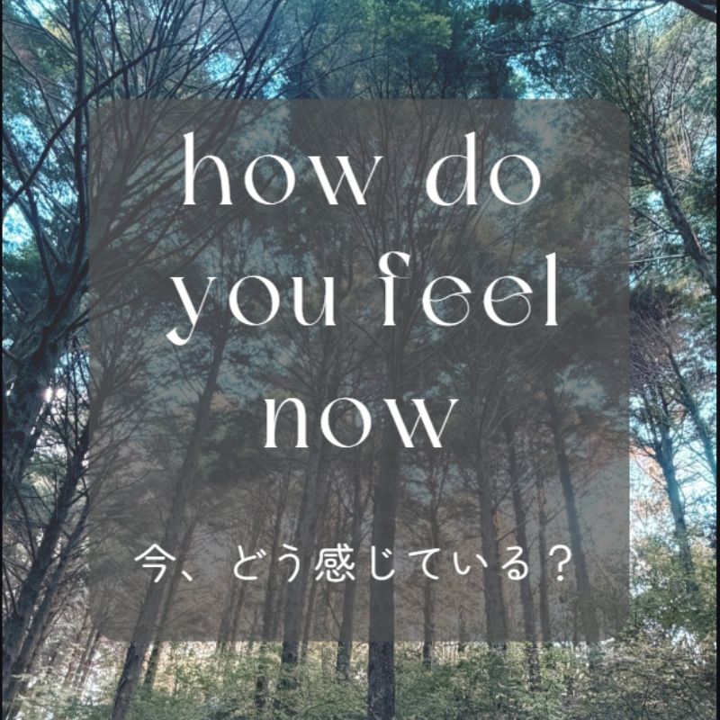 「今どう感じているか」から始める、ウェルネス。