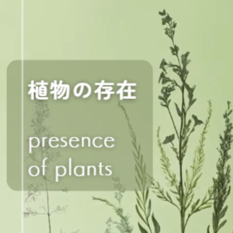 心と体をやさしくつなぐ、植物の恵み
